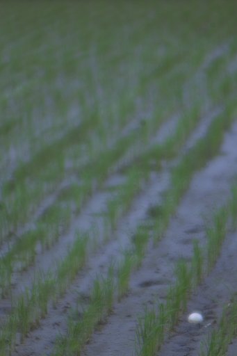 【淡】記憶の中の白いボール