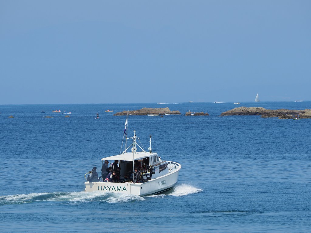 HAYAMA
