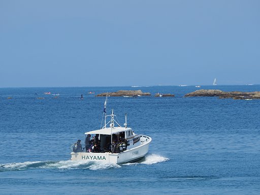 HAYAMA