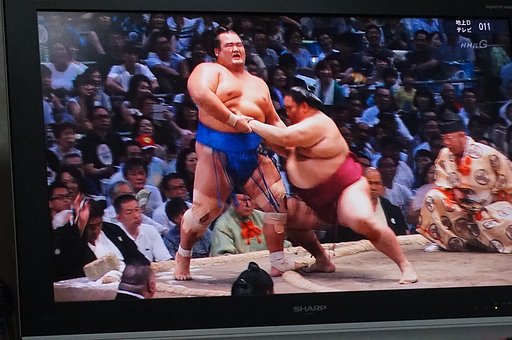 相撲