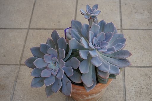 6月29日の写真