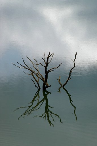 空の中に浮遊する