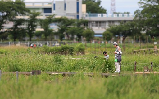 【盛夏】孫とおばあちゃん