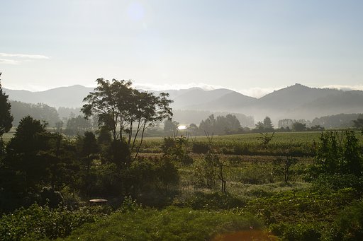 朝霧