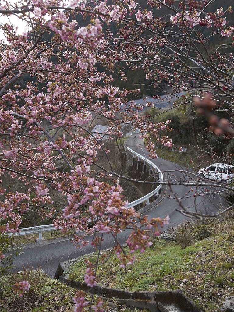 高知・早明浦ダム 