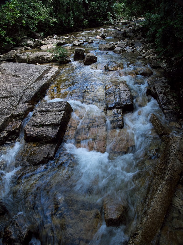 濃飛流紋岩