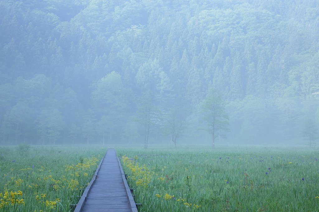 初夏への道標