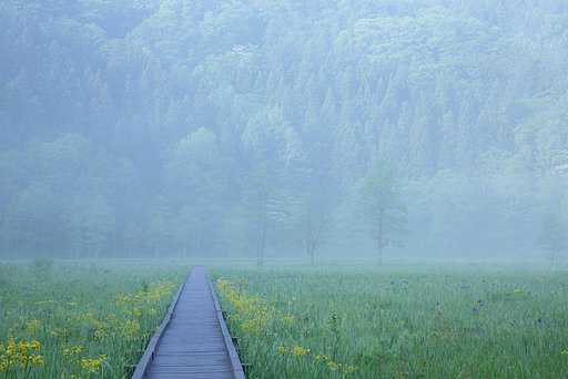 初夏への道標