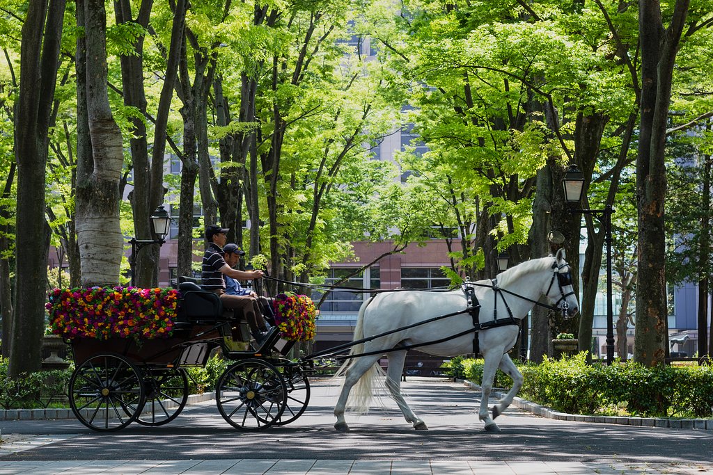 白馬の花馬車