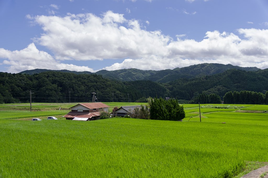 田園