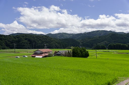 田園
