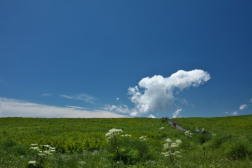 涼風
