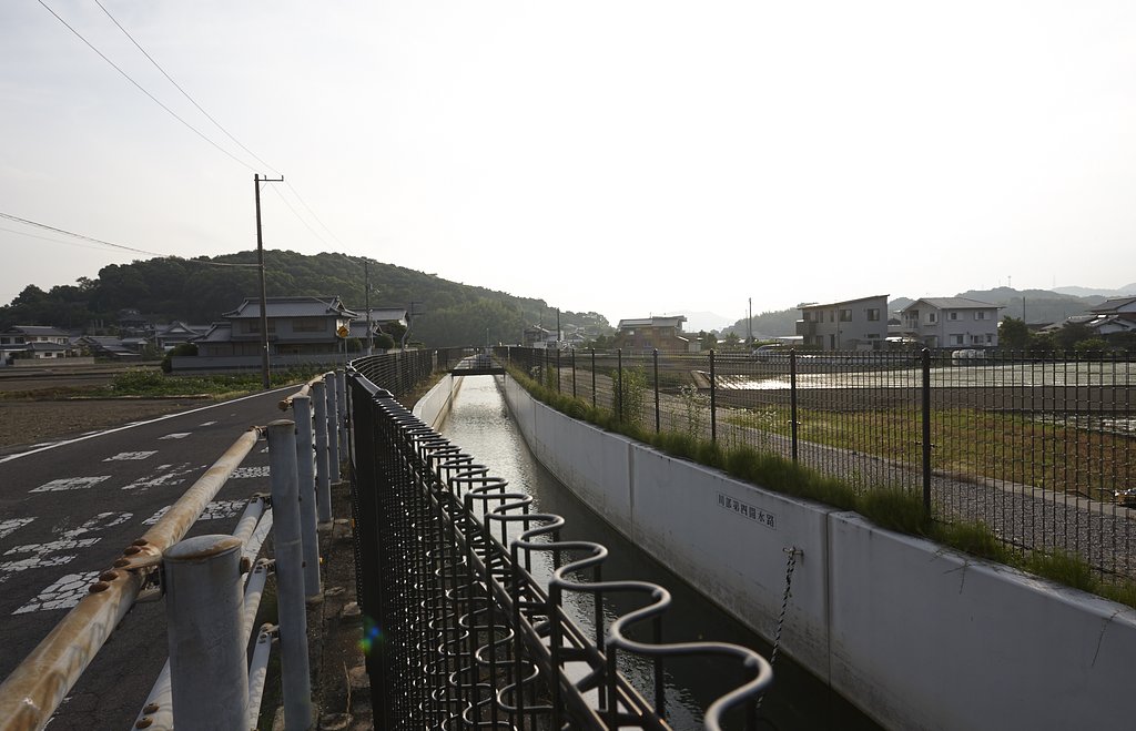 溜池散歩