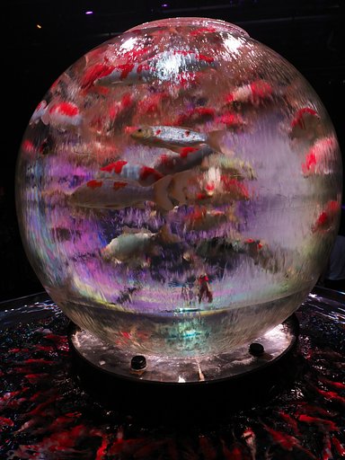 アースアクアリウム・ジャポニズム