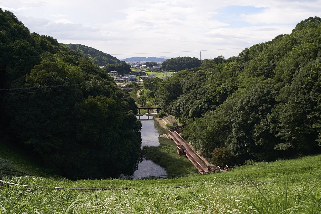 溜池逍遥