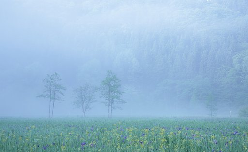 開幕の朝に