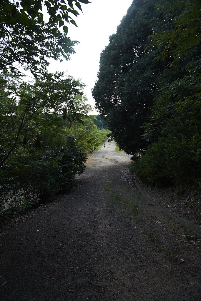 溜池遊記