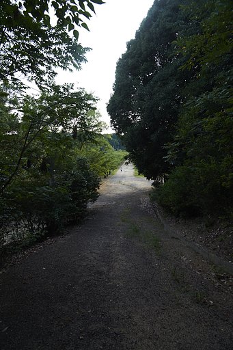 溜池遊記