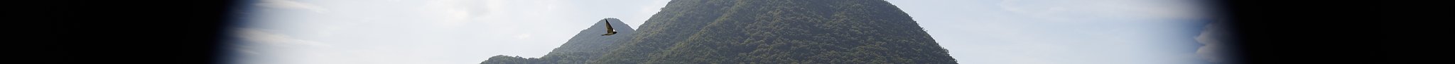 里山撮影