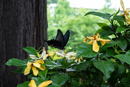 XF35mm F1.4 R