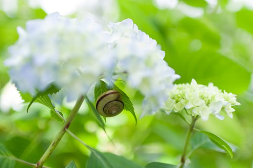 SIGMA 30mm F1.4 DC HSM