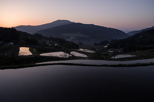 目覚め