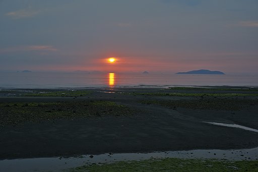散歩撮影
