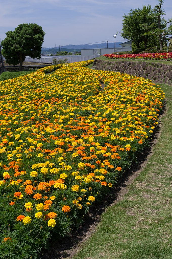 花壇