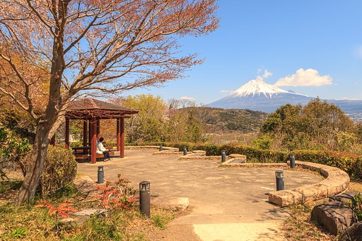 東屋にて富士を楽しむ
