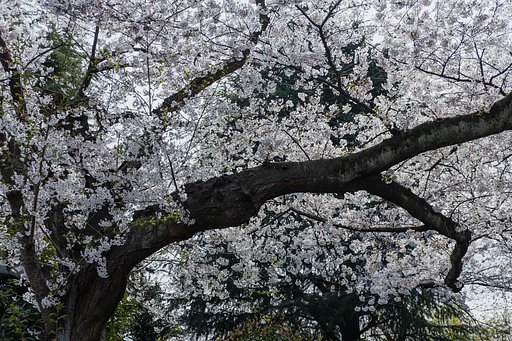 EF24-70mm f/4L IS USM