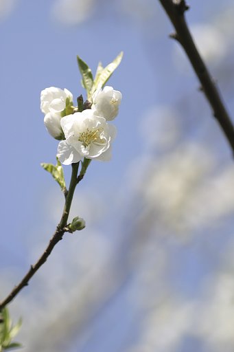 駆け足の季節