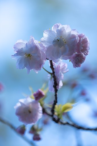 EF180mm f/3.5L Macro USM