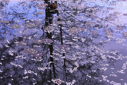 4月8日の写真