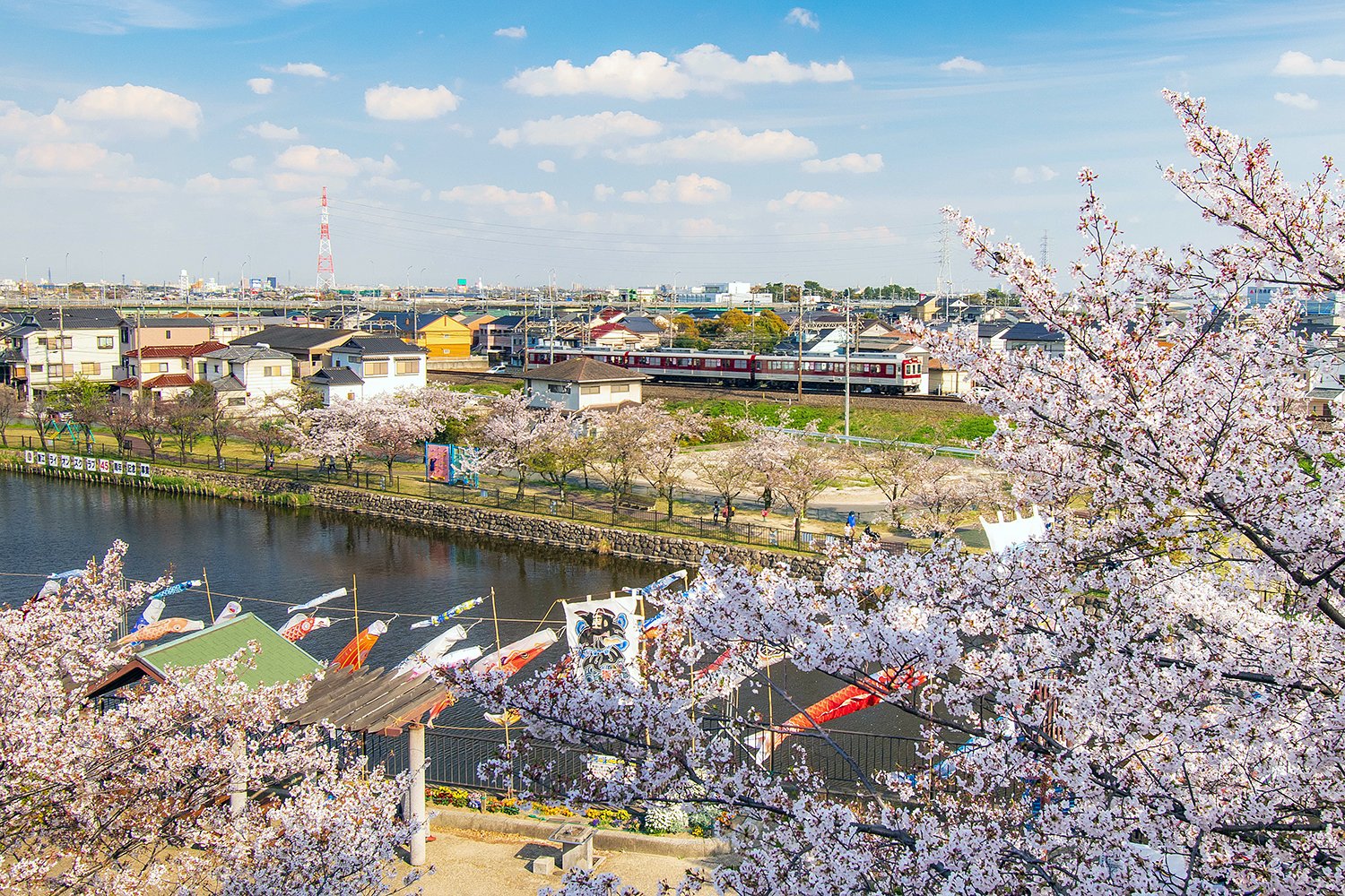 【花のある風景】愛知県海部郡蟹江町