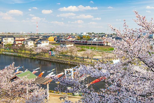 【花のある風景】愛知県海部郡蟹江町