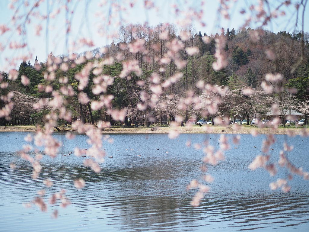 ◎Pana-LEICA DG NOCTICRON 42.5mm/F1.2 ASPH.
