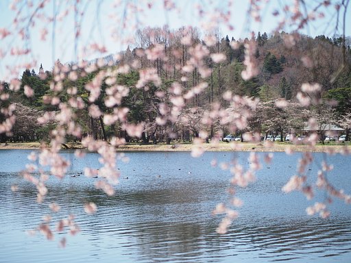 ◎Pana-LEICA DG NOCTICRON 42.5mm/F1.2 ASPH.
