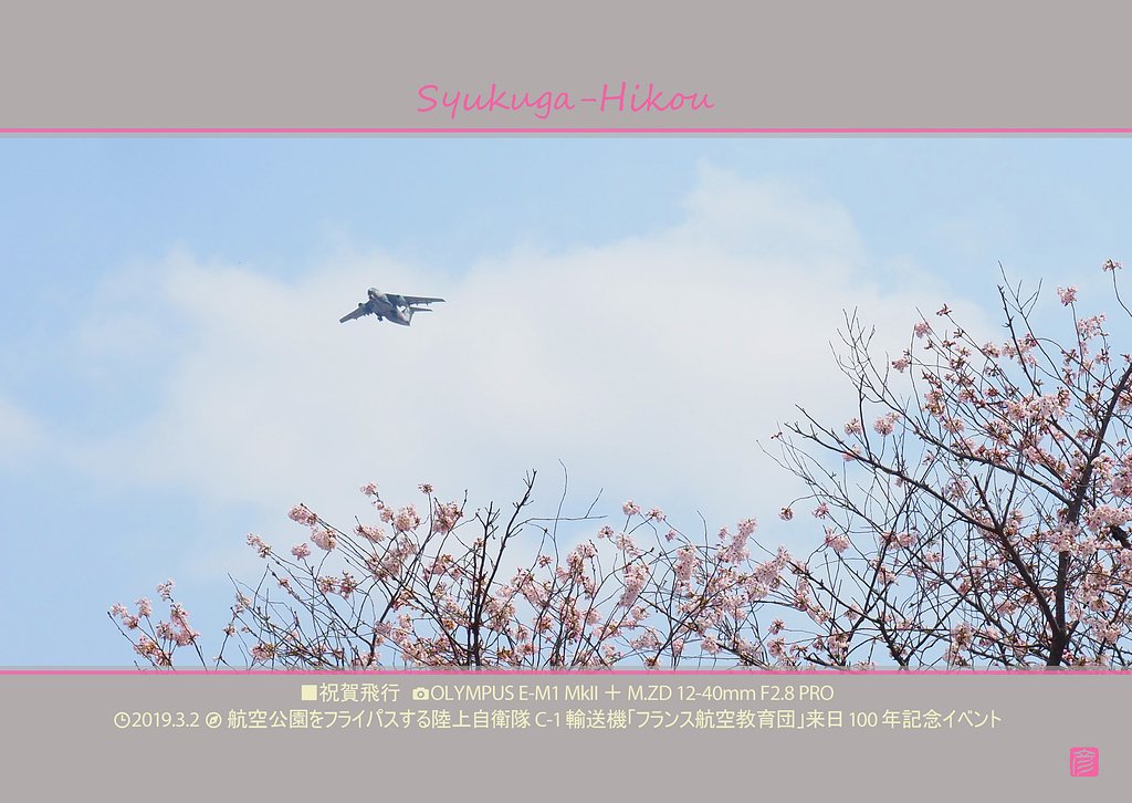 祝賀飛行