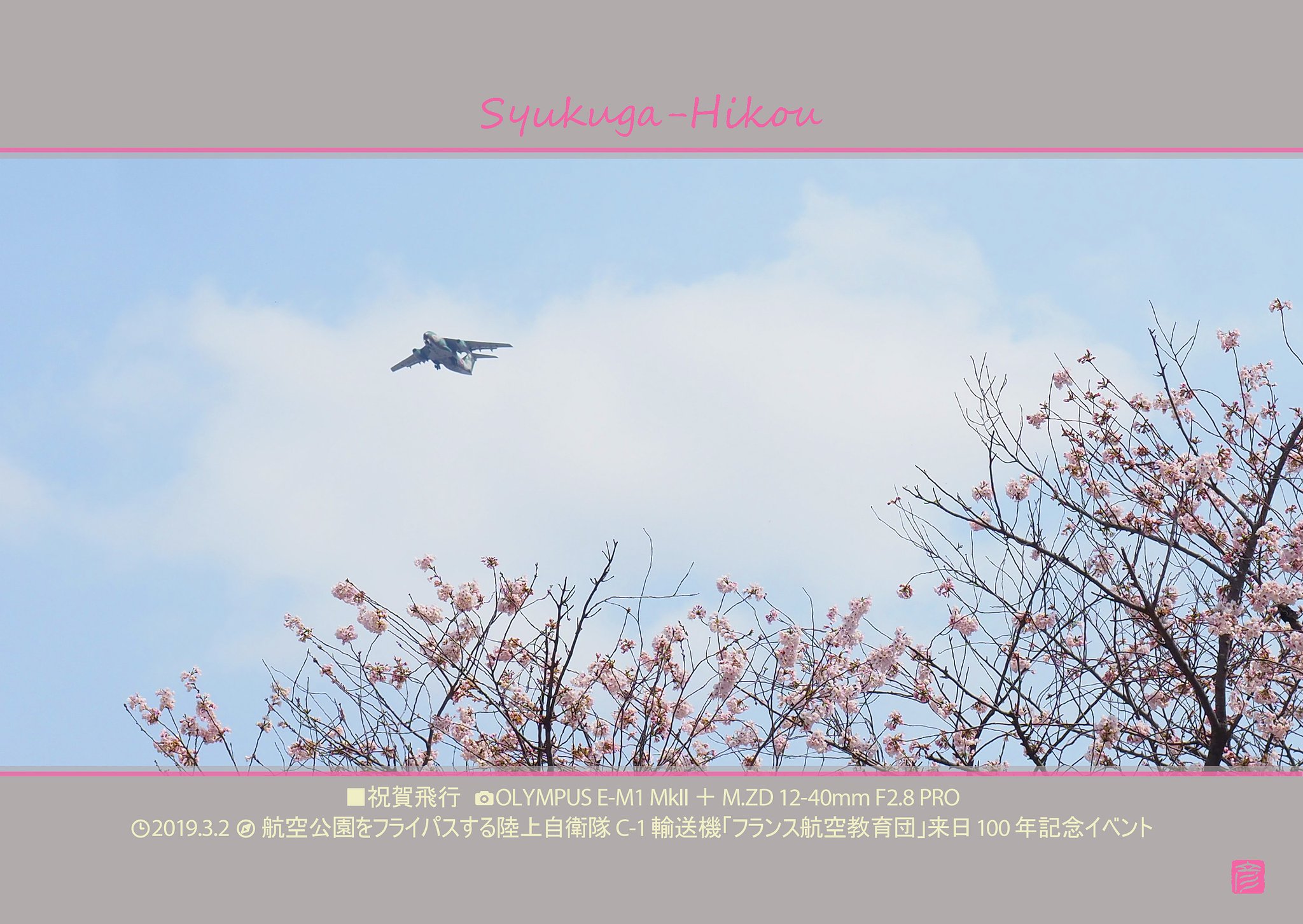 祝賀飛行
