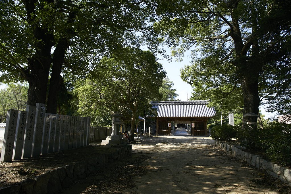 雑景