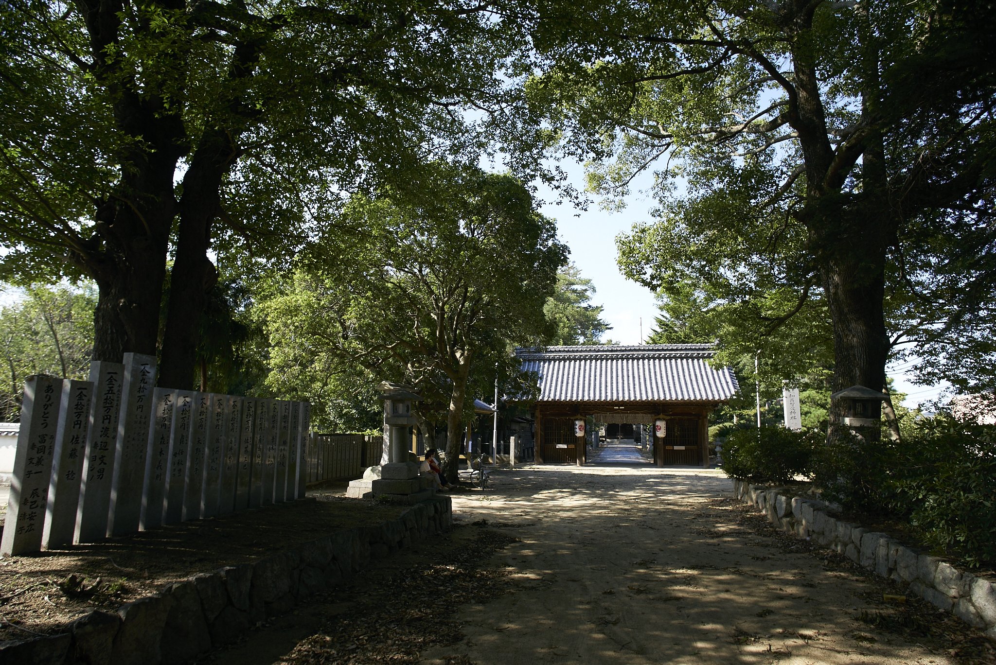 雑景