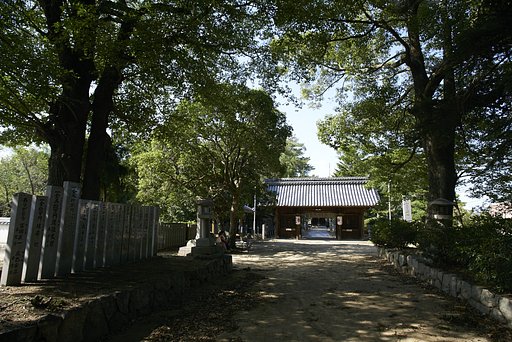 雑景