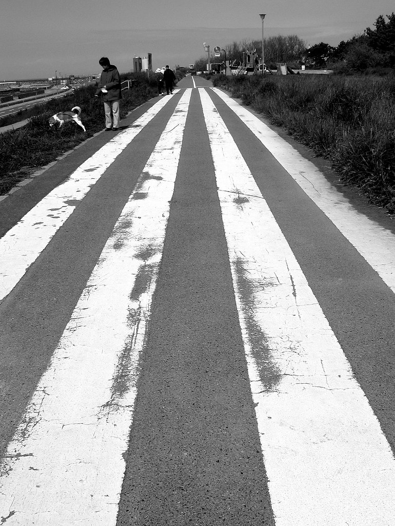 横断歩道