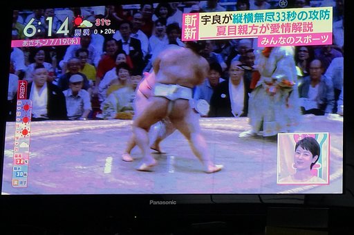 相撲