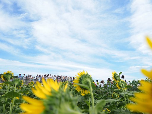 ◎Pana-LEICA DG SUMMILUX 12mm/F1.4 ASPH.