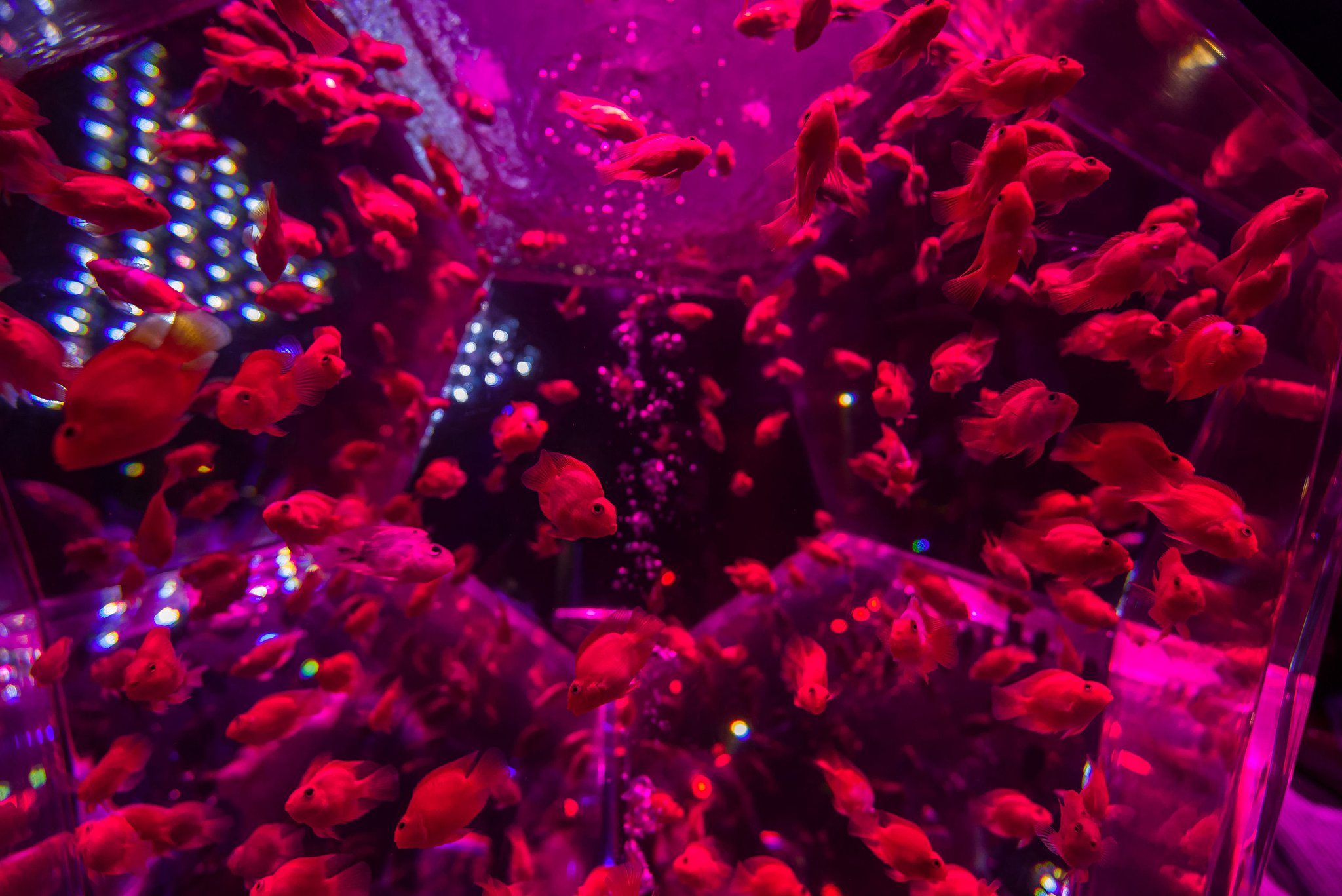 深海気分