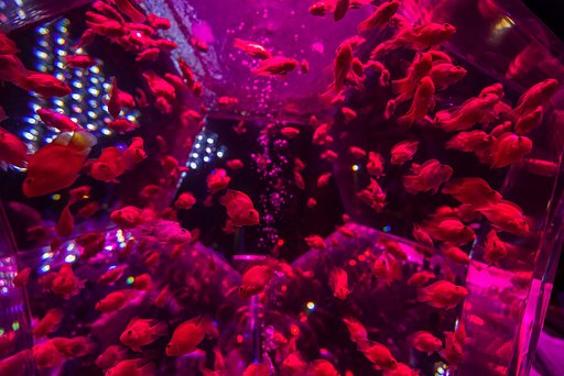 深海気分