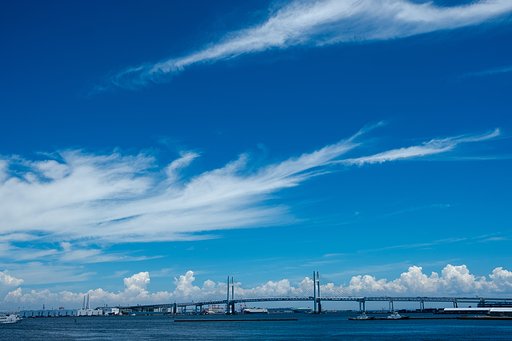 空の高さと海風