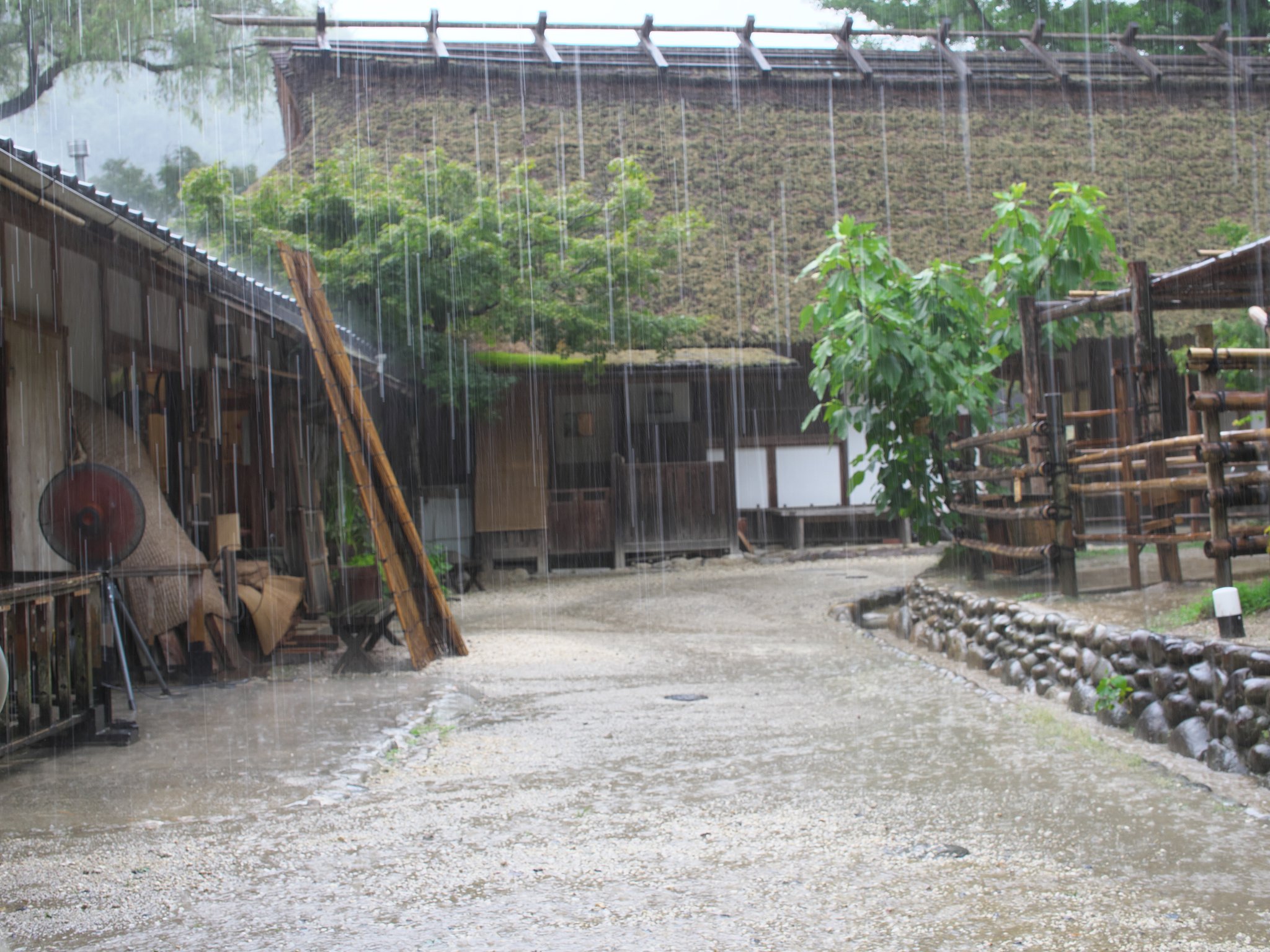 雨3