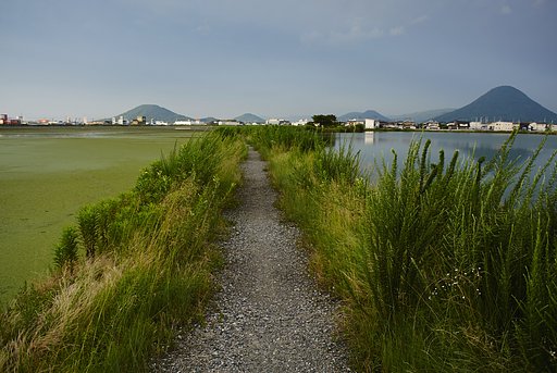 散歩撮影